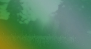 Field